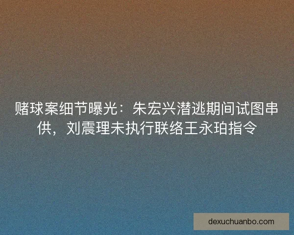 赌球案细节曝光：朱宏兴潜逃期间试图串供，刘震理未执行联络王永珀指令