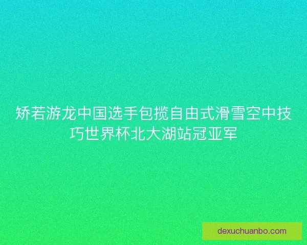 矫若游龙中国选手包揽自由式滑雪空中技巧世界杯北大湖站冠亚军
